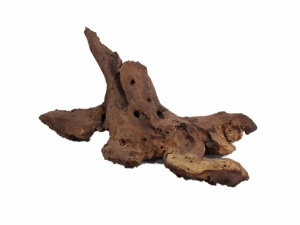 Driftwood: Extra Large (7+ lbs): Gallery Item 