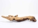 Driftwood: Extra Large (7+ lbs): Gallery Item - 562-XL-G3732 (Y3G-B5)