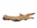 Driftwood: Extra Large (7+ lbs): Gallery Item - 562-XL-G3732 (Y3G-B5)