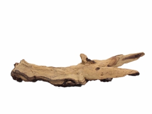 Driftwood: Extra Large (7+ lbs): Gallery Item 