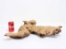 Driftwood: Extra Large (7+ lbs): Gallery Item - 562-XL-G3733 (Y3G-B5)