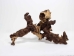 Driftwood: Extra Large (7+ lbs): Gallery Item - 562-XL-G3735 (Y3G-B8)