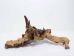 Driftwood: Extra Large (7+ lbs): Gallery Item - 562-XL-G3735 (Y3G-B8)
