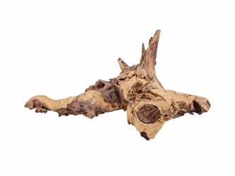 Driftwood: Extra Large (7+ lbs): Gallery Item 