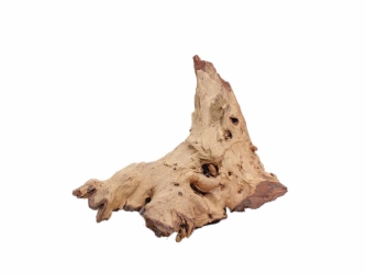 Driftwood: Extra Large (7+ lbs): Gallery Item 