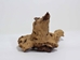 Driftwood: Extra Large (7+ lbs): Gallery Item - 562-XL-G3739 (Y3G-B5)