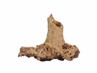 Driftwood: Extra Large (7+ lbs): Gallery Item 