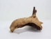 Driftwood: Extra Large (7+ lbs): Gallery Item - 562-XL-G3740 (Y3G-B7)