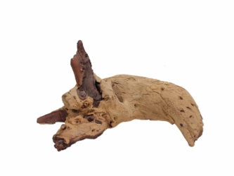 Driftwood: Extra Large (7+ lbs): Gallery Item 