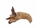 Driftwood: Extra Large (7+ lbs): Gallery Item - 562-XL-G3740 (Y3G-B7)