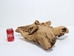 Driftwood: Extra Large (7+ lbs): Gallery Item - 562-XL-G3743 (Y3G-B8)