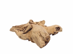 Driftwood: Extra Large (7+ lbs): Gallery Item 