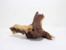 Driftwood: Extra Large (7+ lbs): Gallery Item - 562-XL-G3744 (Y3G-B7)