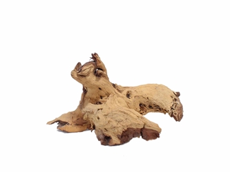 Driftwood: Extra Large (7+ lbs): Gallery Item 