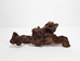 Driftwood: Extra Large (7+ lbs): Gallery Item - 562-XL-G3748 (Y3G-B6)