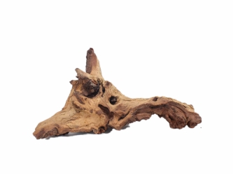 Driftwood: Extra Large (7+ lbs): Gallery Item 