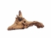 Driftwood: Extra Large (7+ lbs): Gallery Item - 562-XL-G3748 (Y3G-B5)