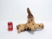 Driftwood: Extra Large (7+ lbs): Gallery Item - 562-XL-G3750 (Y3G-B6)