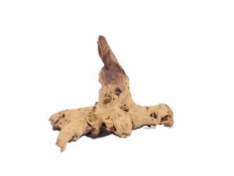 Driftwood: Extra Large (7+ lbs): Gallery Item 
