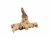 Driftwood: Extra Large (7+ lbs): Gallery Item - 562-XL-G3750 (Y3G-B6)