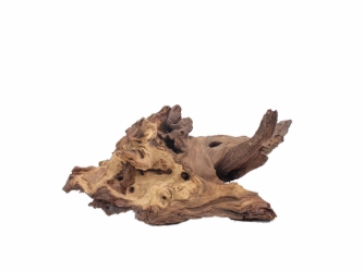 Driftwood: Extra Large (7+ lbs): Gallery Item 