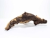 Driftwood: Extra Large (7+ lbs): Gallery Item - 562-XL-G3753 (Y3G-B5)