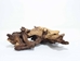 Driftwood: Extra Large (7+ lbs): Gallery Item - 562-XL-G3754 (Y3G-B6)