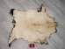 Wild Boar Skin: Large: Gallery Item - 577-L-G4533 (Y2ORI)