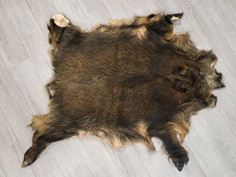 Wild Boar Skin: Large: Gallery Item 