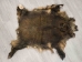 Wild Boar Skin: Large: Gallery Item - 577-L-G4533 (Y2ORI)