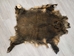 Wild Boar Skin: Large: Gallery Item - 577-L-G4533 (Y2O)