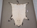 Wild Boar Skin: X-Large: Gallery Item - 577-XL-G15 (Y3C)