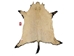 Wild Boar Skin: X-Large: Gallery Item - 577-XL-G1839 (AZ)