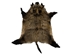 Wild Boar Skin: X-Large: Gallery Item - 577-XL-G1839 (AZ)