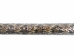 Real Rattlesnake Cane: Closed Mouth: Gallery Item - 598-C513-G4220 (Y2LRJ)