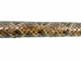 Real Rattlesnake Cane: Closed Mouth: Gallery Item - 598-C513-G4318 (9UL20)