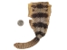Trophy Grade Real Rattlesnake Rattle and Skin Piece: Gallery Item - 598-SPP-G2277 (Y2LC01)