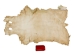 Calf Slink Skin: Large: Gallery Item - 62-50-L-G160 (Y1HRE)