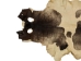 Calf Slink Skin: Large: Gallery Item - 62-50-L-G160 (Y1HRE)