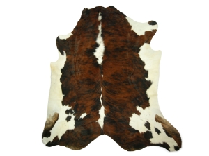Cow Hide: Medium: Gallery Item 