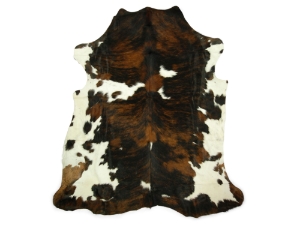 Cow Hide: Medium: Gallery Item 