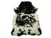 Cow Hide: Medium: Gallery Item - 62-G1193 (Y2PRD)