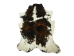 Cow Hide: Medium: Gallery Item - 62-G1197 (Y2ORQ)