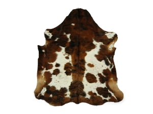 Cow Hide: Small: Gallery Item 