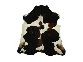 Cow Hide: Large: Gallery Item 