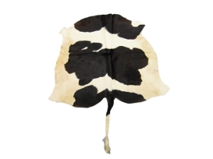 Cow Hide: X-Small: Gallery Item 
