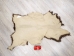 U.S. Goatskin: Natural Brown: Gallery Item - 66-20-G3938 (Y1KRQ)