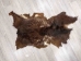 U.S. Goatskin: Natural Brown: Gallery Item - 66-20-G3938 (Y1KRQ)