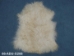 Deluxe Grade Angora Goatskin: Gallery Item - 66-ADU-G208 (Y2GXX)