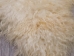 Super Deluxe Grade Angora Goatskin: Gallery Item - 66-ASD-G2409 (Y2LXX)